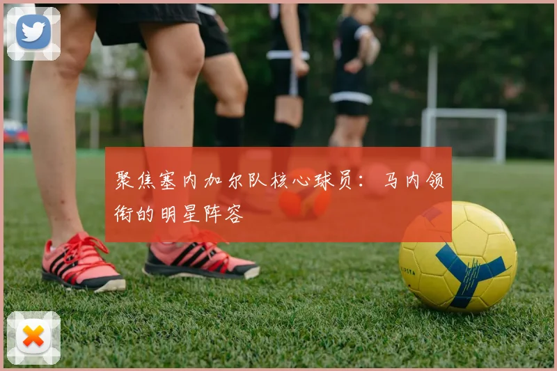 聚焦塞内加尔队核心球员：马内领衔的明星阵容