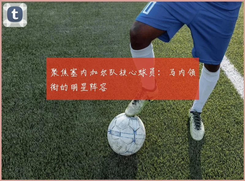 聚焦塞内加尔队核心球员:马内领衔的明星阵容